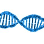 Dna structure