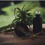 cbd oil