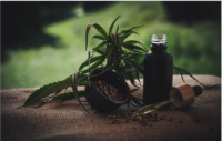 cbd oil