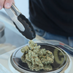 weed